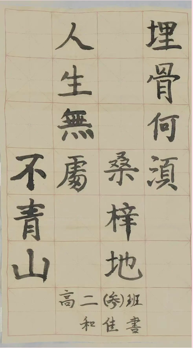 图片.png